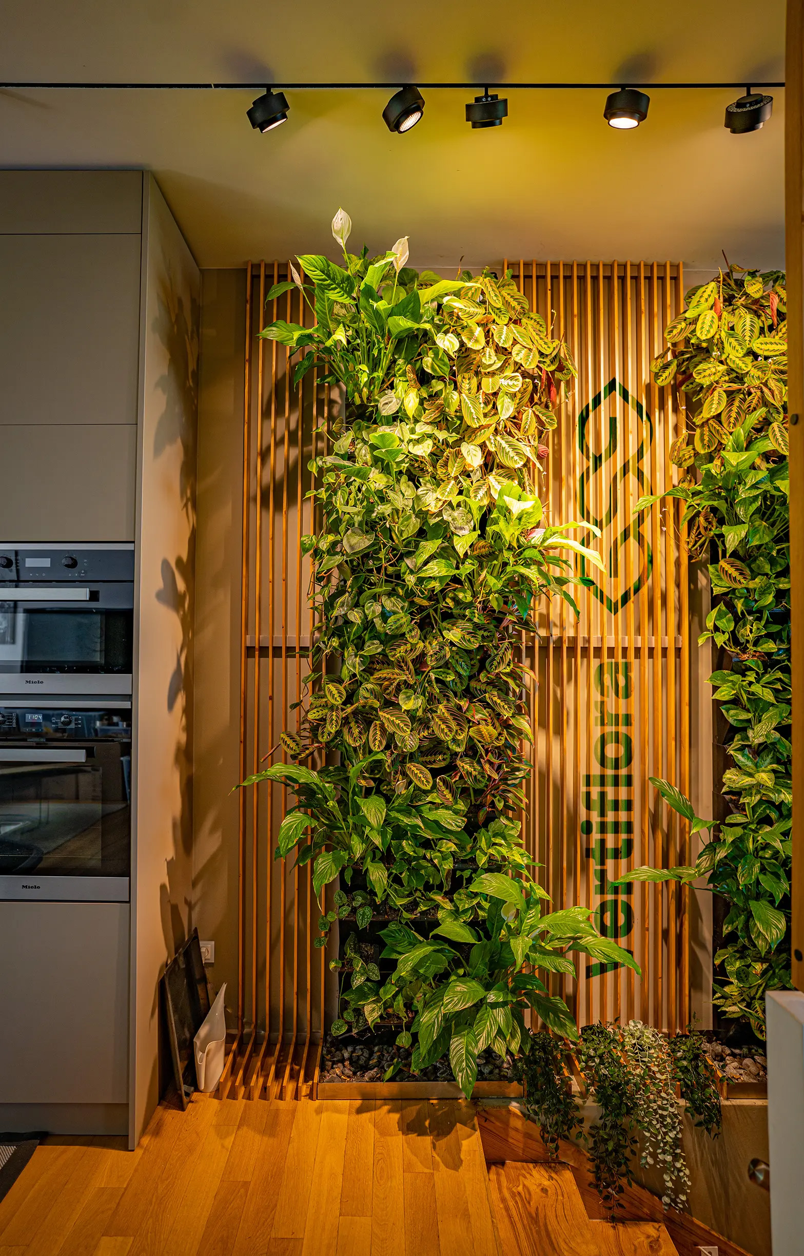 Növényfal, zöldfal, függőleges kert