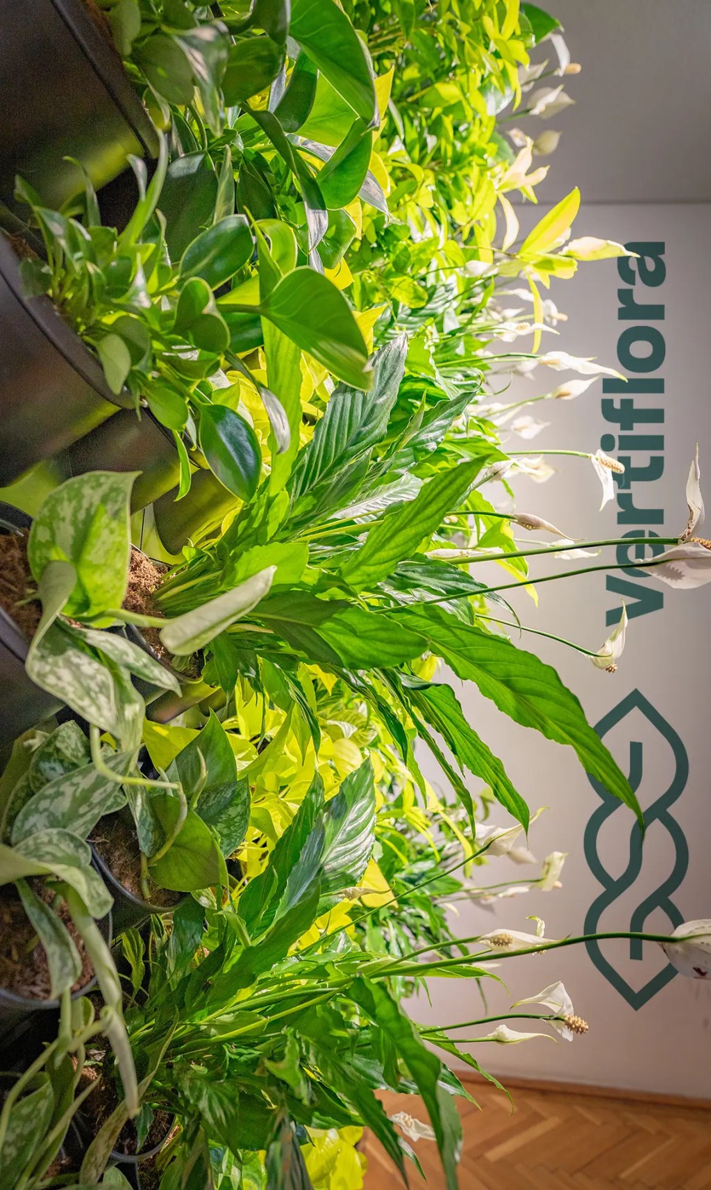 A növényfalak légtisztító hatása és a nyugodt környezet&nbsp;teremtése