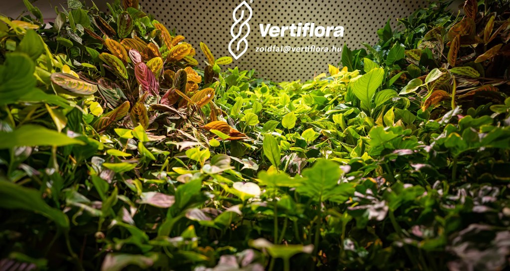 növényfal légtisztító hatása