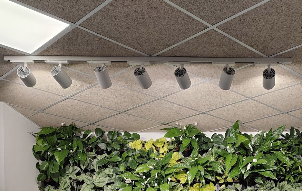 A növényfalak megvilágítása: Hogyan biztosítsuk a tökéletes fényviszonyokat a függőleges kertek&nbsp;számára