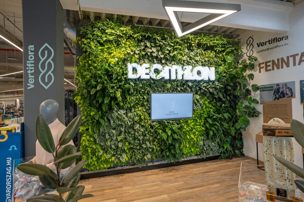 Az irodai növényfalak jótékony hatásai a munkahelyi&nbsp;környezetre